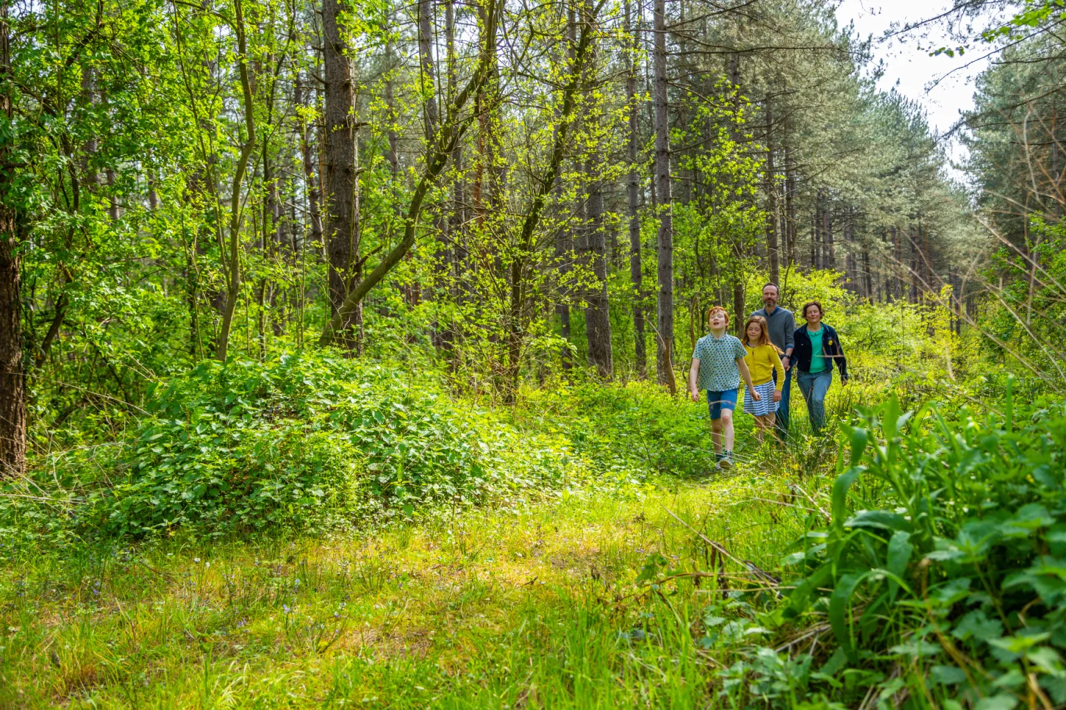 Nature walks