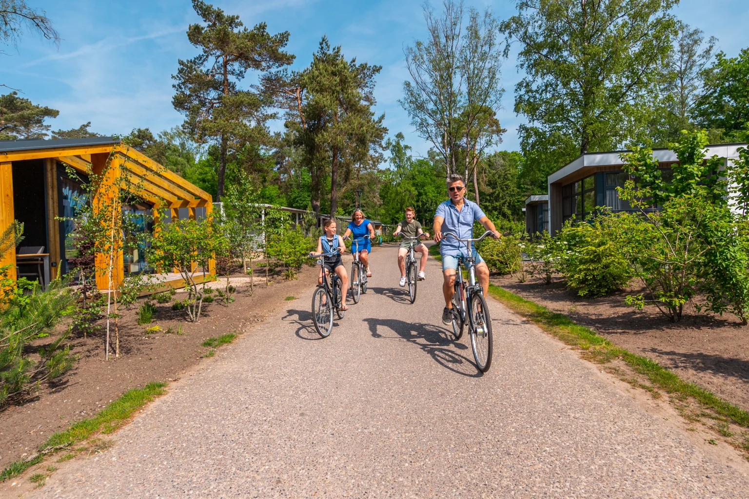 Bike Hire