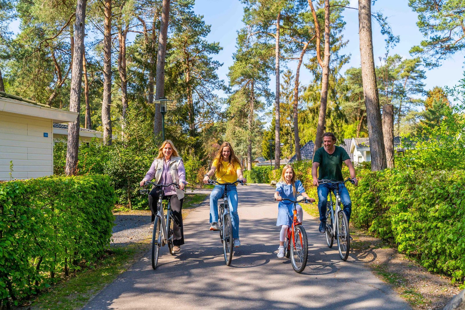 Bike Hire