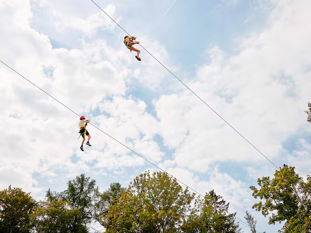 Zip Wire