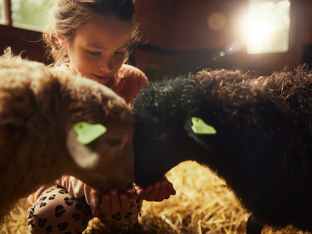 Childrens Farm