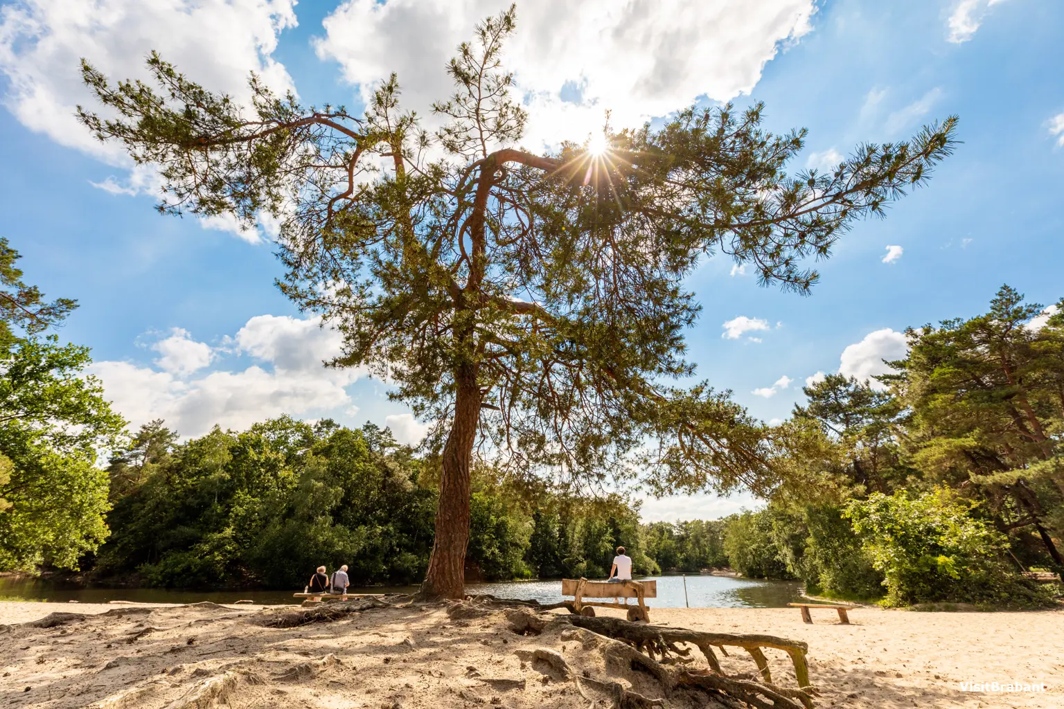 Tranquil surroundings of the park