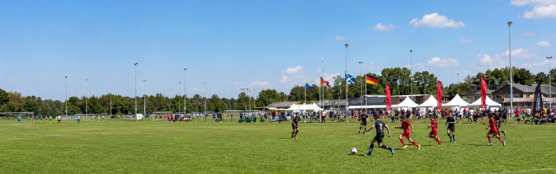 Flanders Cup Header